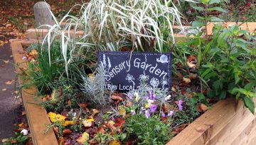 sensory garden thurnscoe park featured