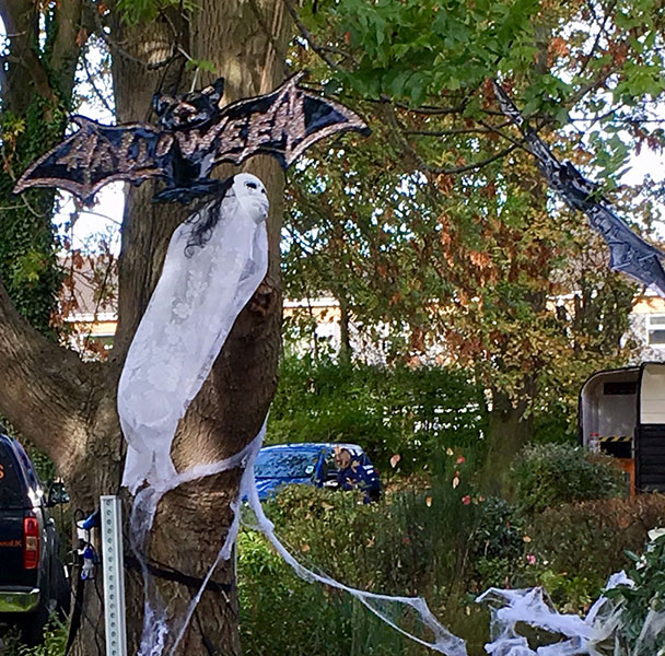 Thurnscoe Halloween Spooktacular Decorations